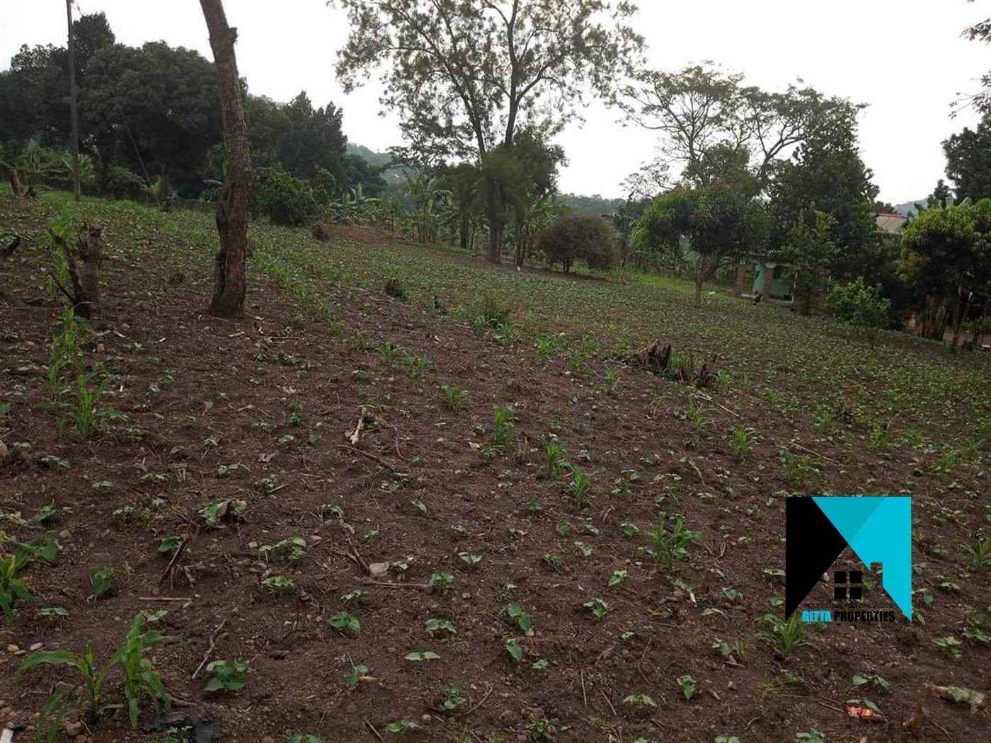 Multipurpose Land for sale in Ssemuto Nakaseke