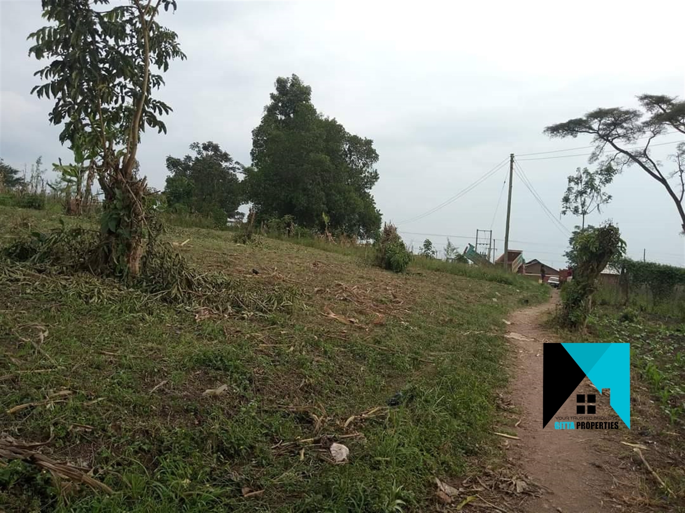 Multipurpose Land for sale in Ssemuto Nakaseke