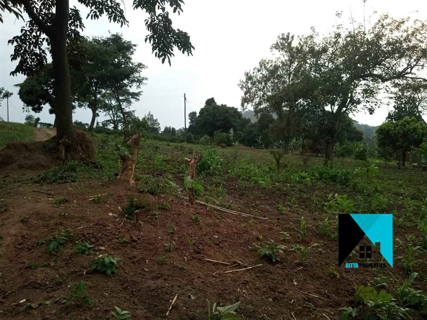 Multipurpose Land for sale in Ssemuto Nakaseke