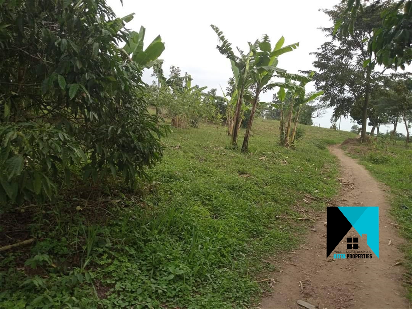 Multipurpose Land for sale in Ssemuto Nakaseke