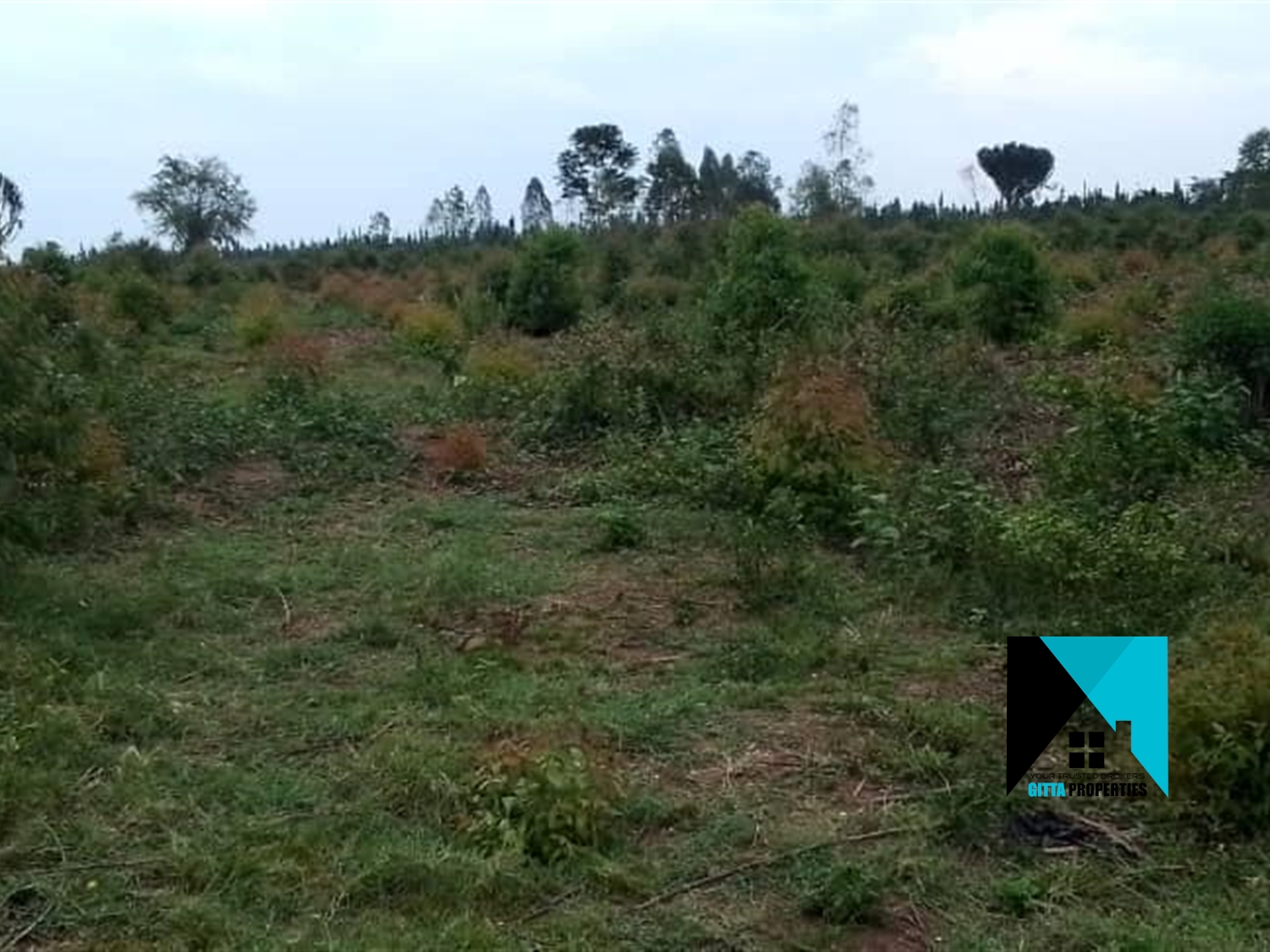 Residential Land for sale in Nabusugwe Mukono