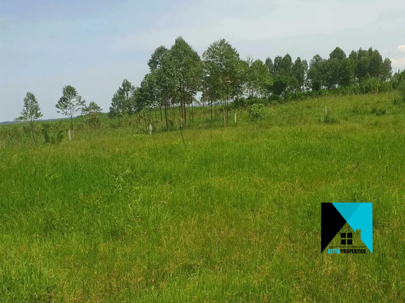 Multipurpose Land for sale in Buwaya Wakiso