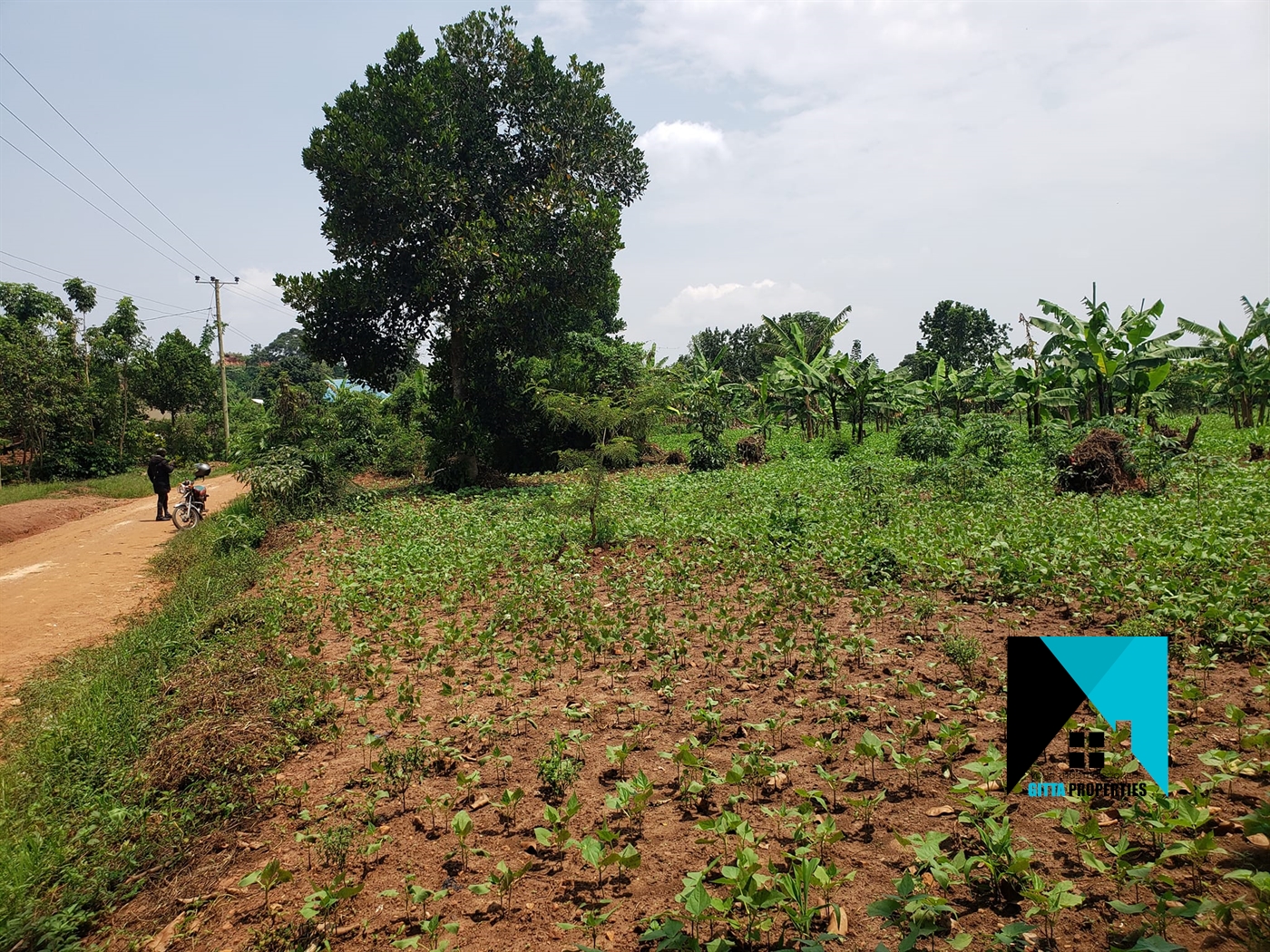 Residential Land for sale in Bugema Wakiso