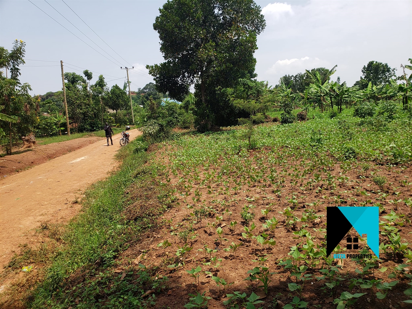 Residential Land for sale in Bugema Wakiso