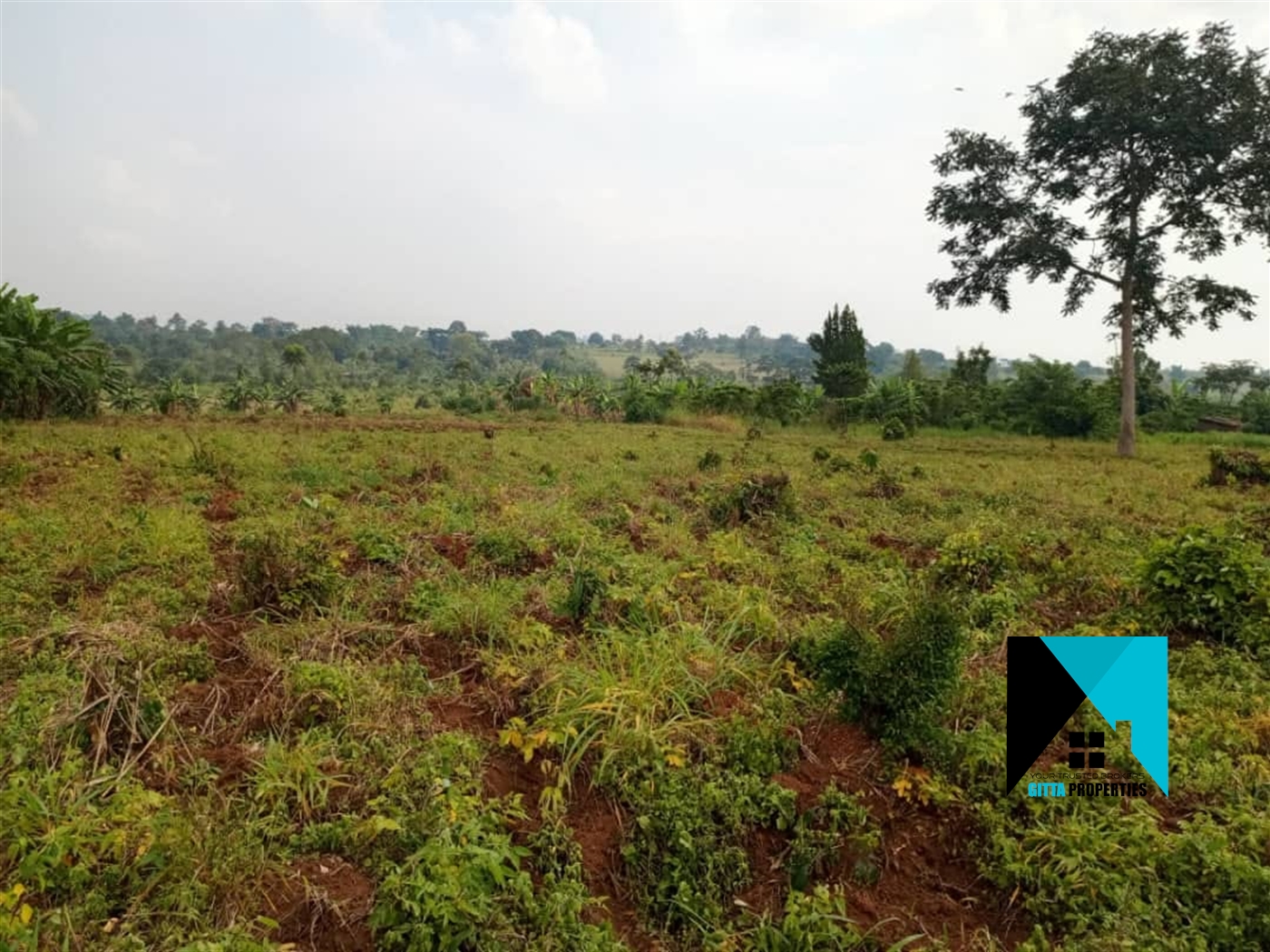 Multipurpose Land for sale in Ssekanyonyi Mityana