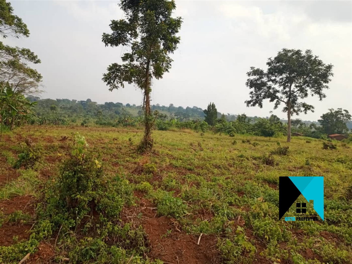 Multipurpose Land for sale in Ssekanyonyi Mityana