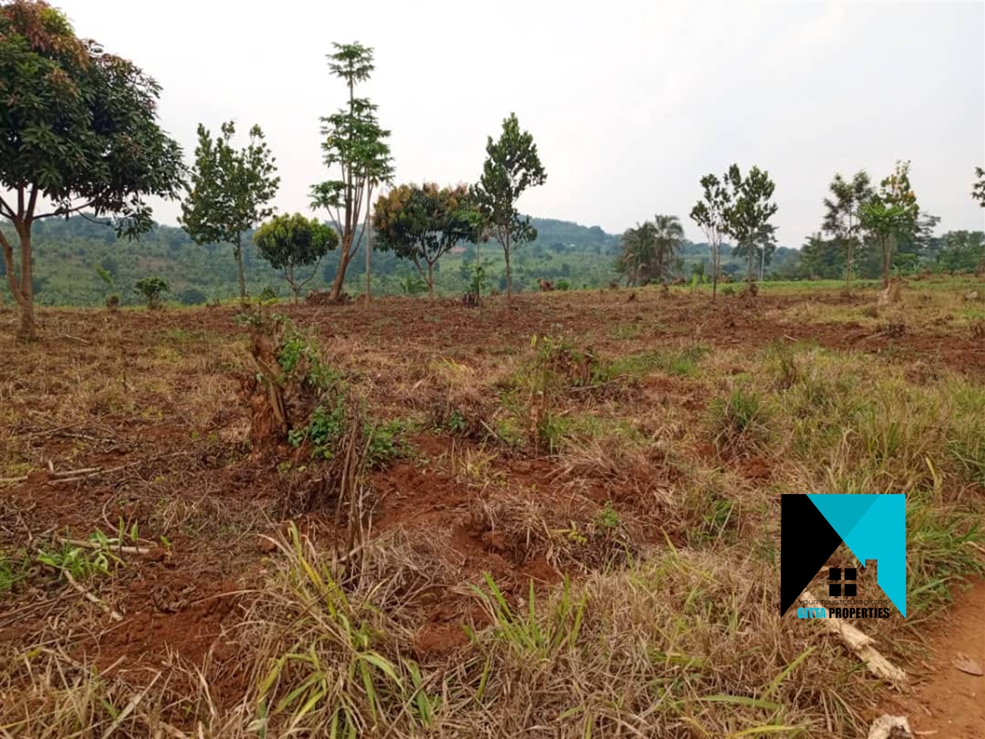 Multipurpose Land for sale in Ssekanyonyi Mityana