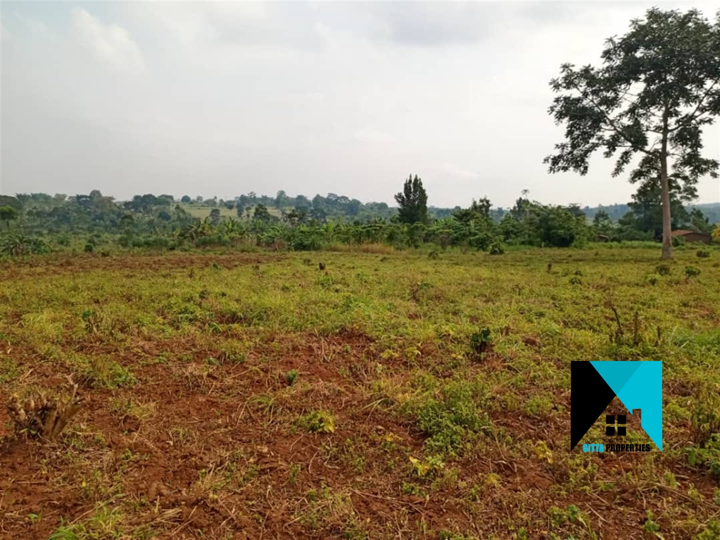 Multipurpose Land for sale in Ssekanyonyi Mityana