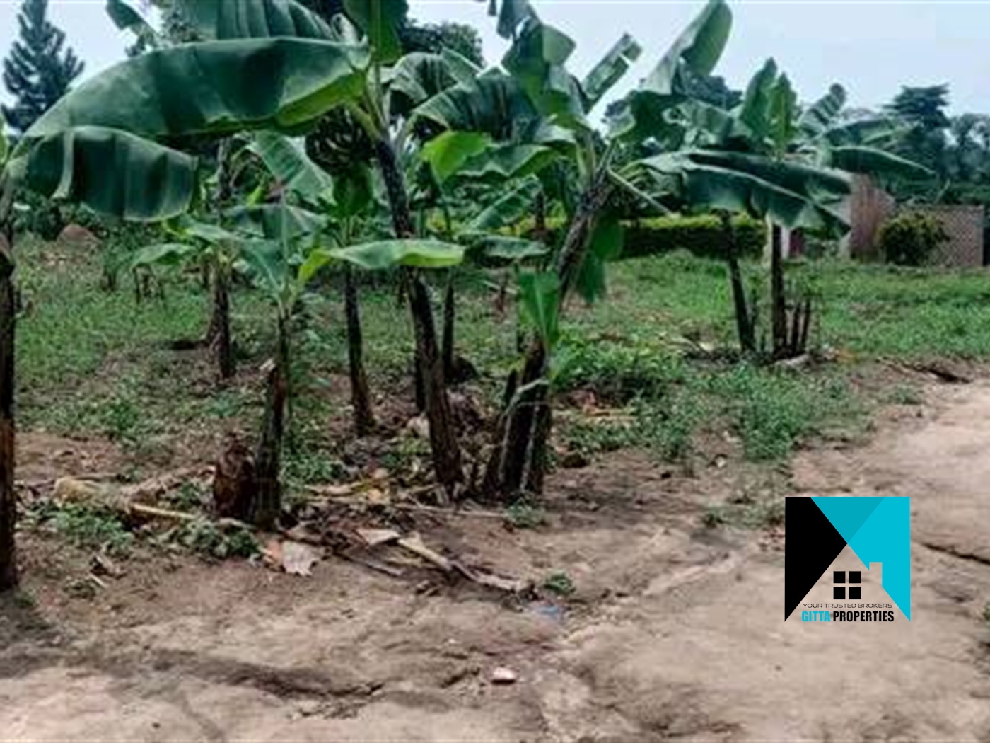 Residential Land for sale in Ssemuto Nakaseke