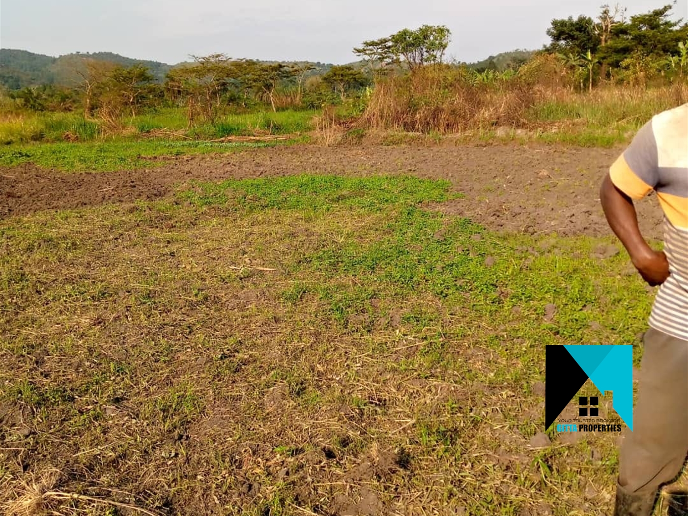 Agricultural Land for sale in Ssemuto Nakaseke