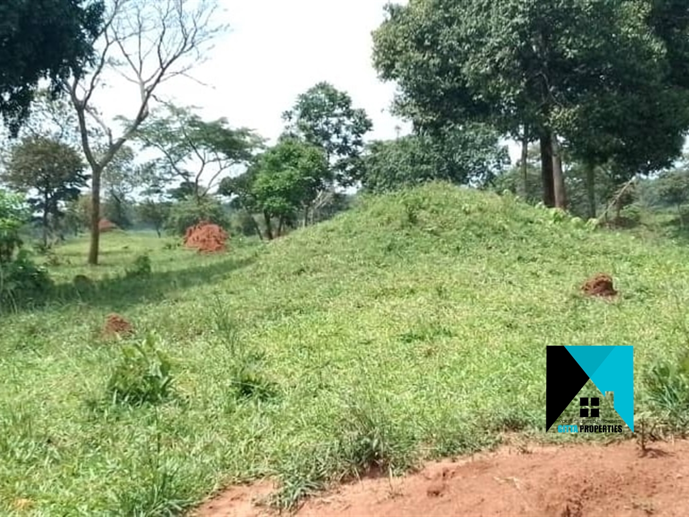 Multipurpose Land for sale in Ziloobwe Luweero