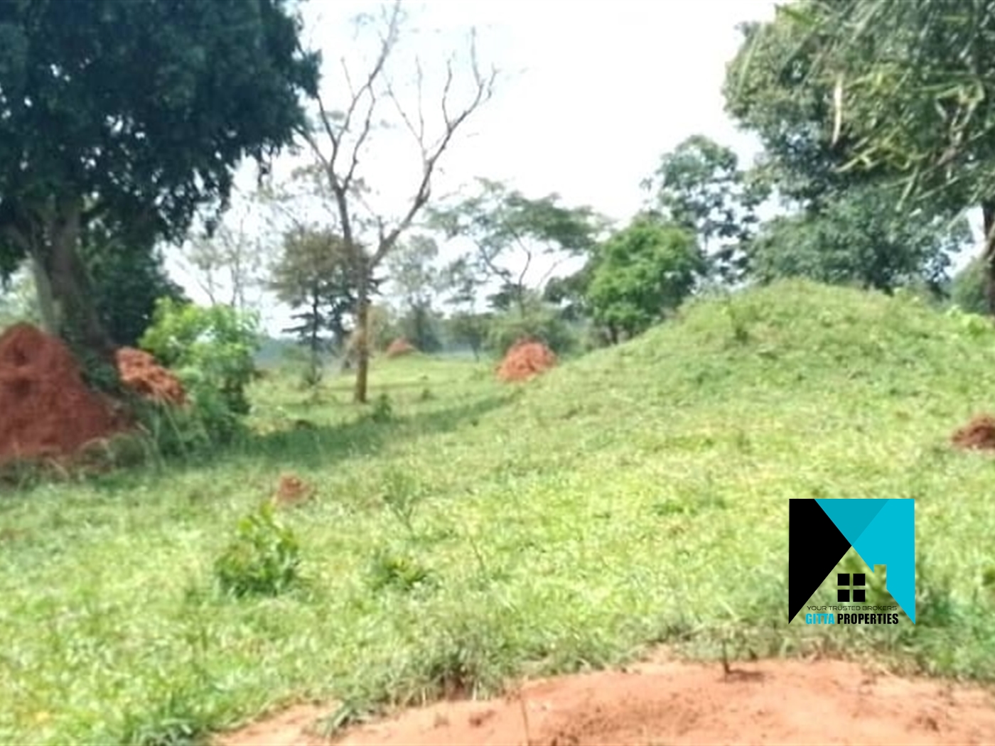 Multipurpose Land for sale in Ziloobwe Luweero