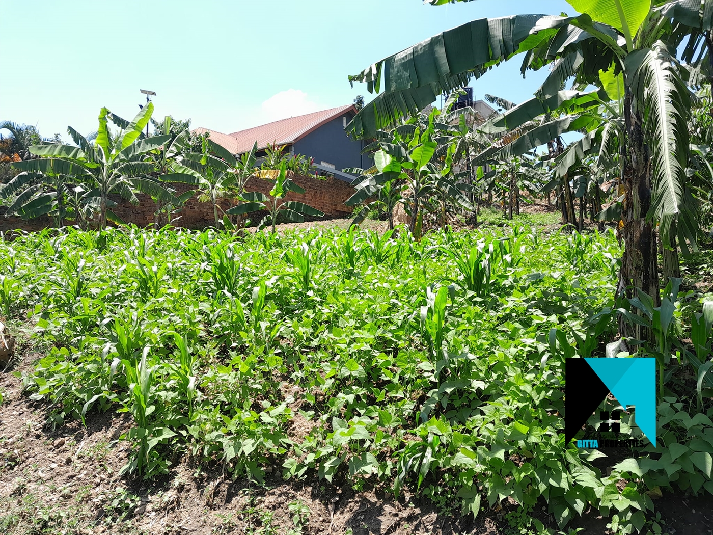 Residential Land for sale in Kira Wakiso