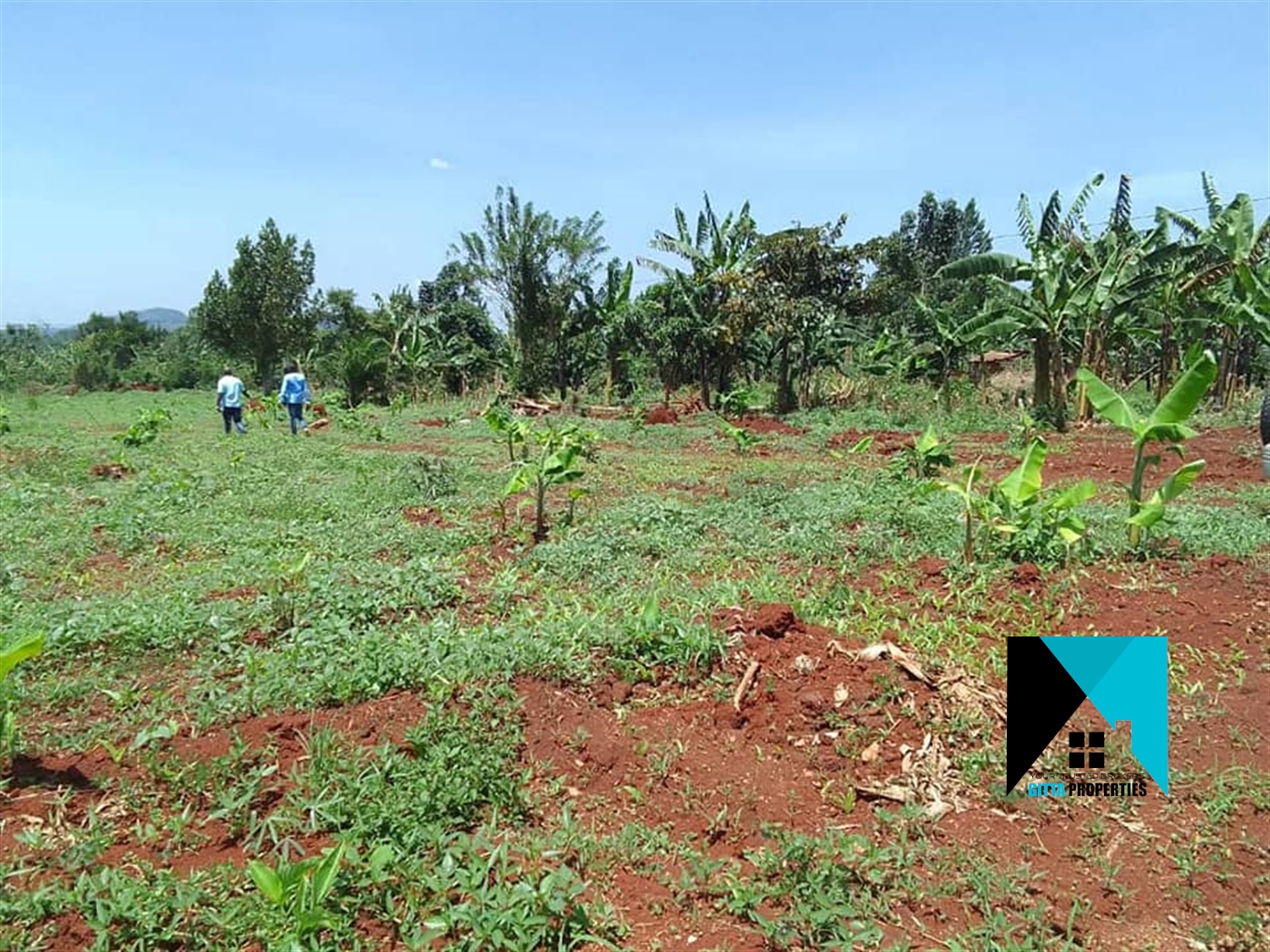 Residential Land for sale in Wobulenzi Luweero