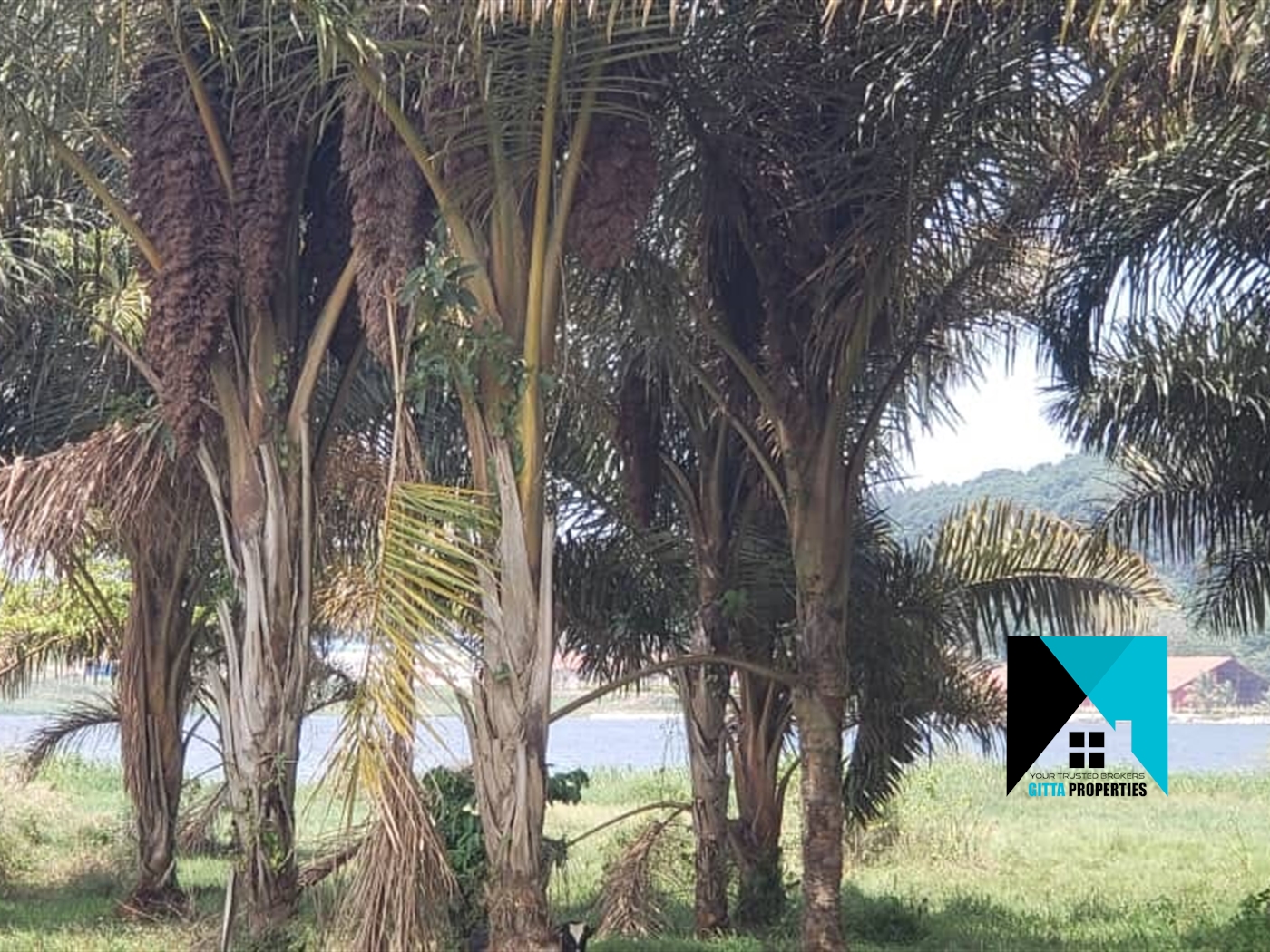 Residential Land for sale in Garuga Wakiso