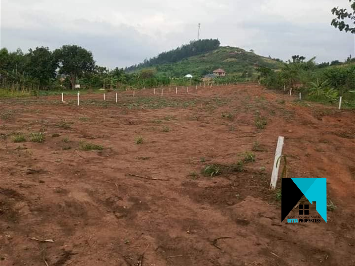 Residential Land for sale in Kiwenda Wakiso