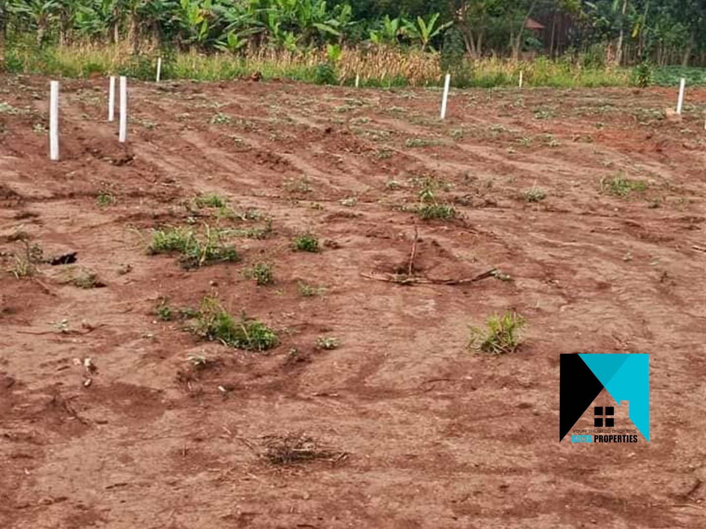 Residential Land for sale in Kiwenda Wakiso