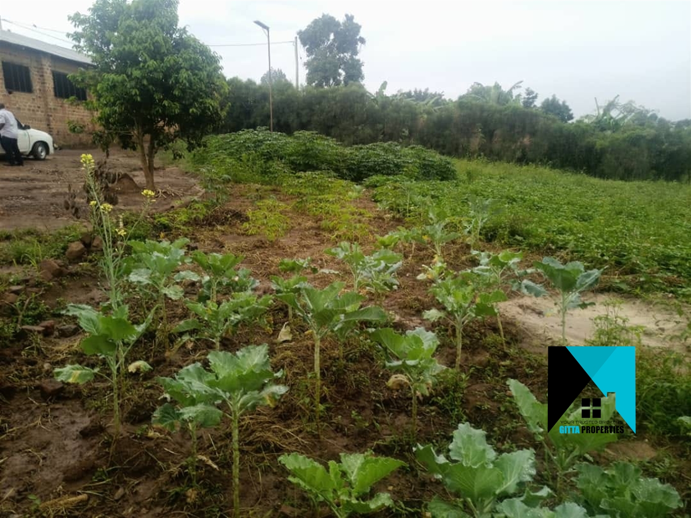 Agricultural Land for sale in Kiwenda Wakiso