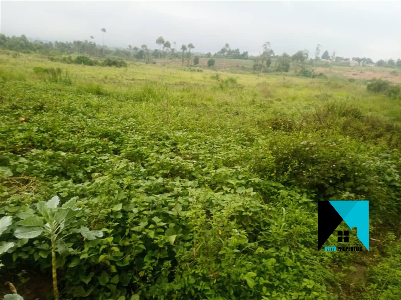 Agricultural Land for sale in Kiwenda Wakiso