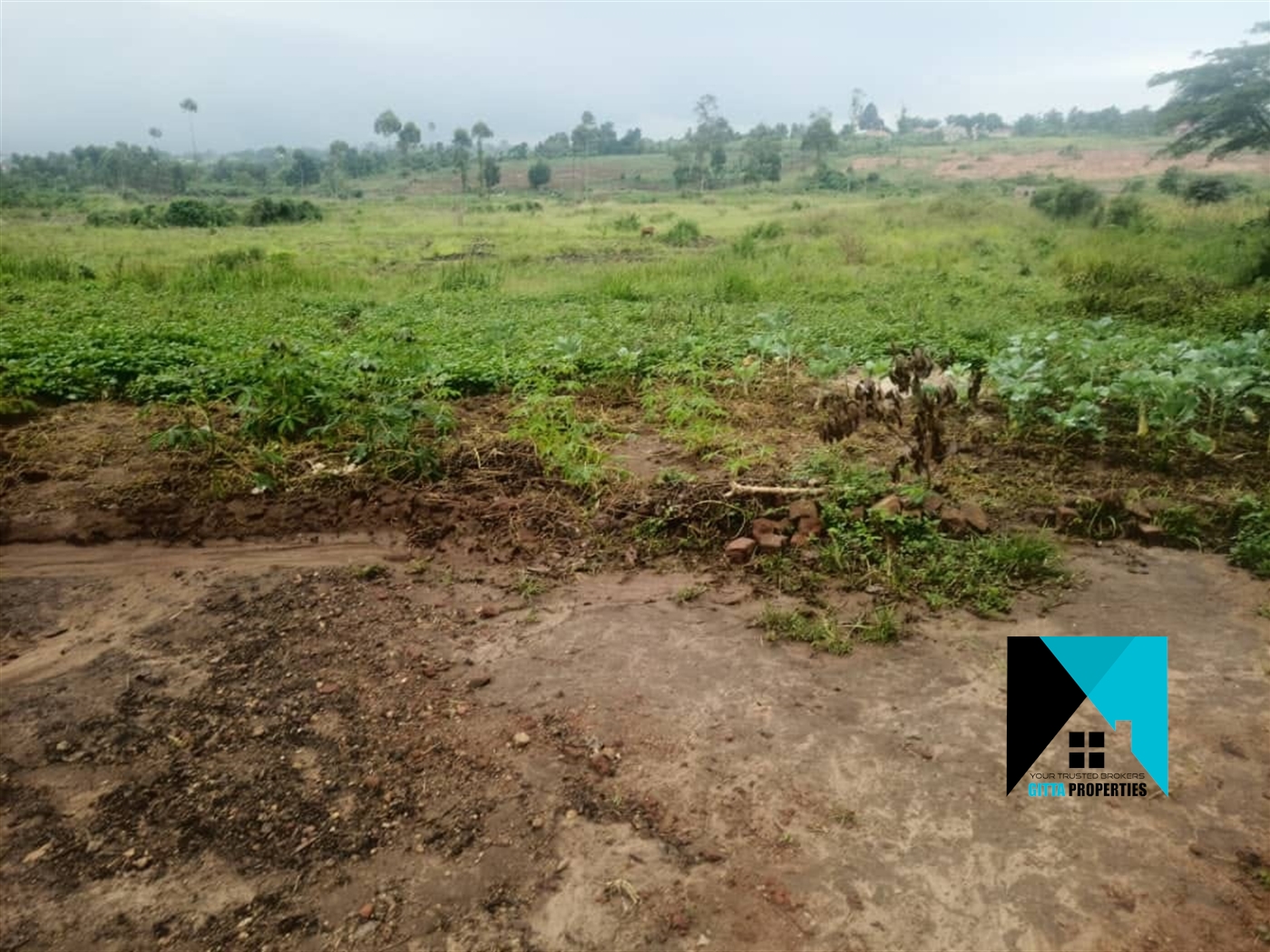 Agricultural Land for sale in Kiwenda Wakiso