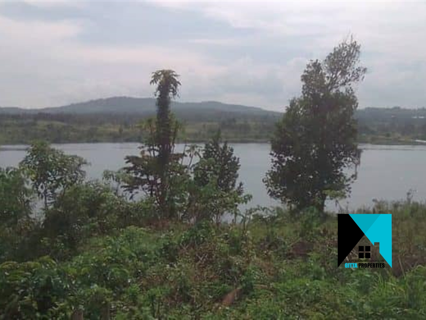 Agricultural Land for sale in Bukolokoto Kayunga