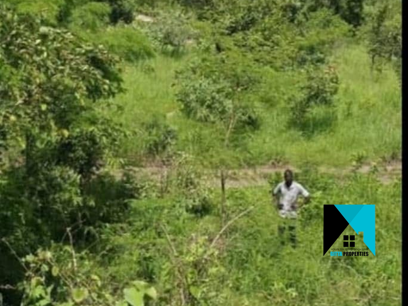 Agricultural Land for sale in Bukolokoto Kayunga