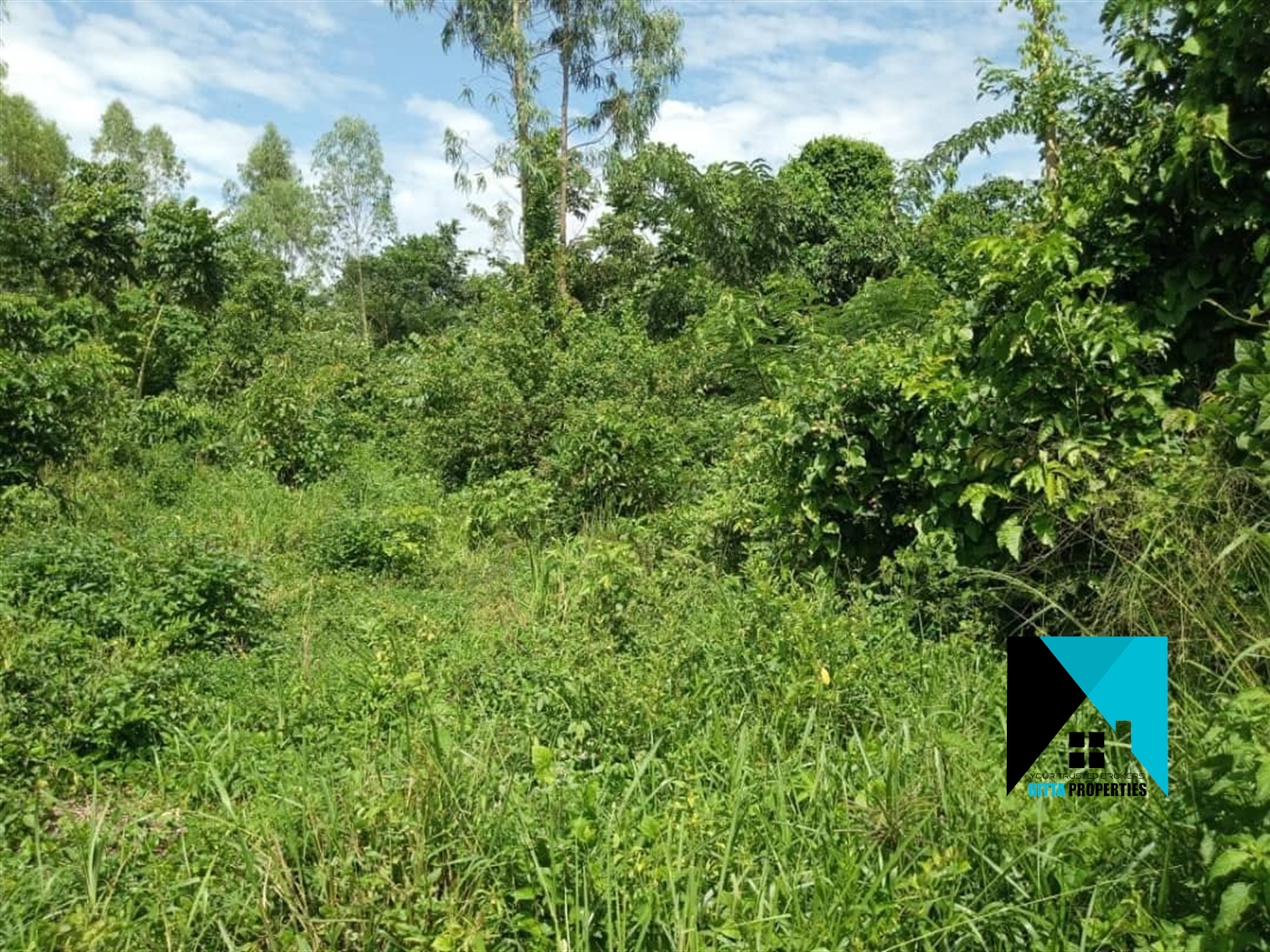 Agricultural Land for sale in Bukolokoto Kayunga