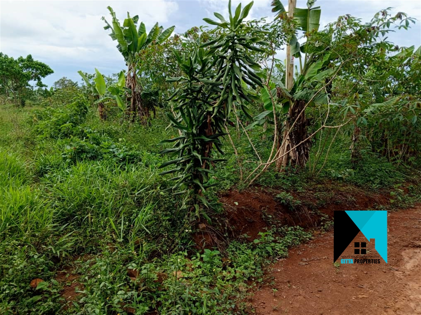 Residential Land for sale in Ddundu Wakiso