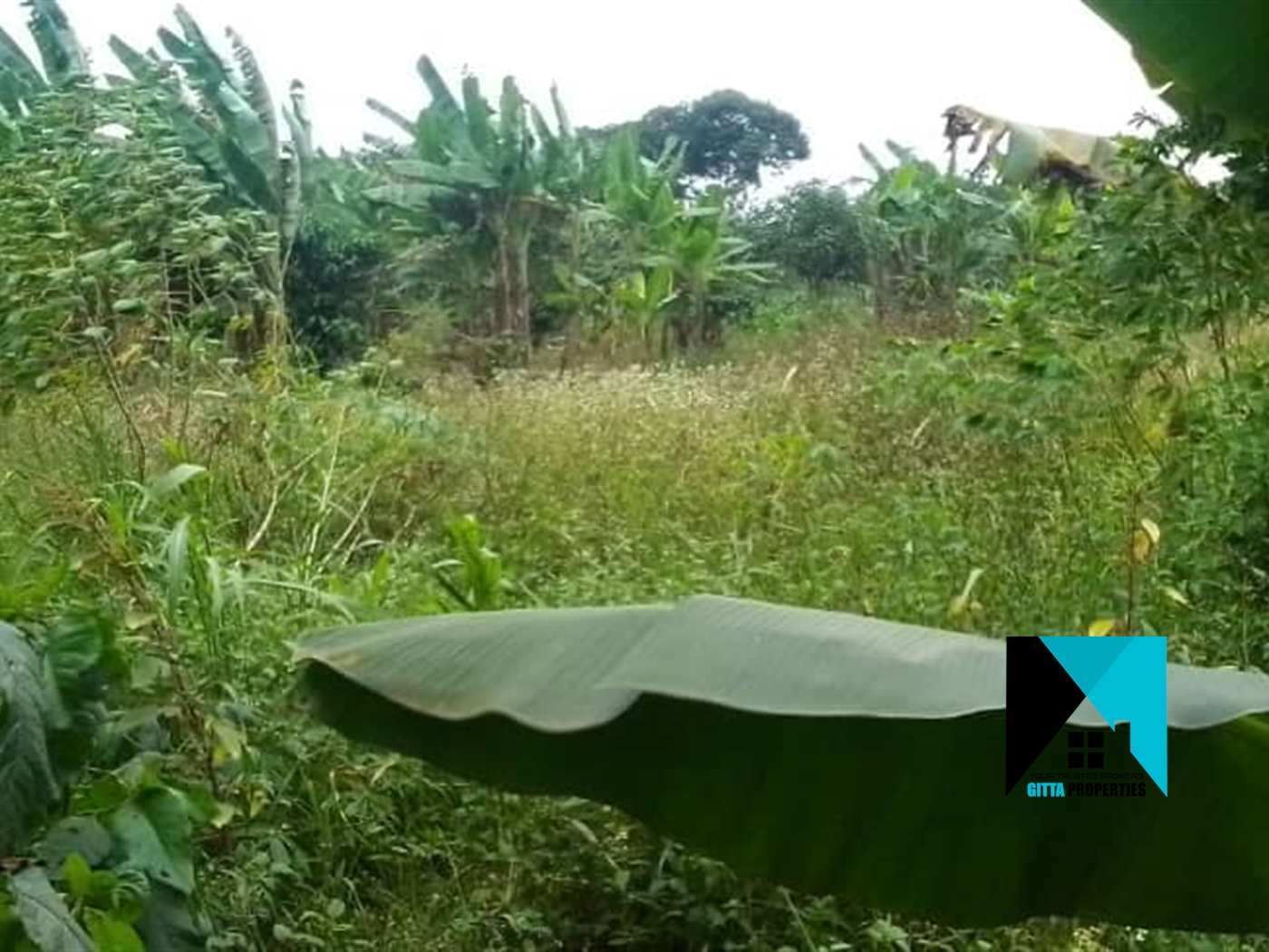 Residential Land for sale in Kikyuusa Luweero