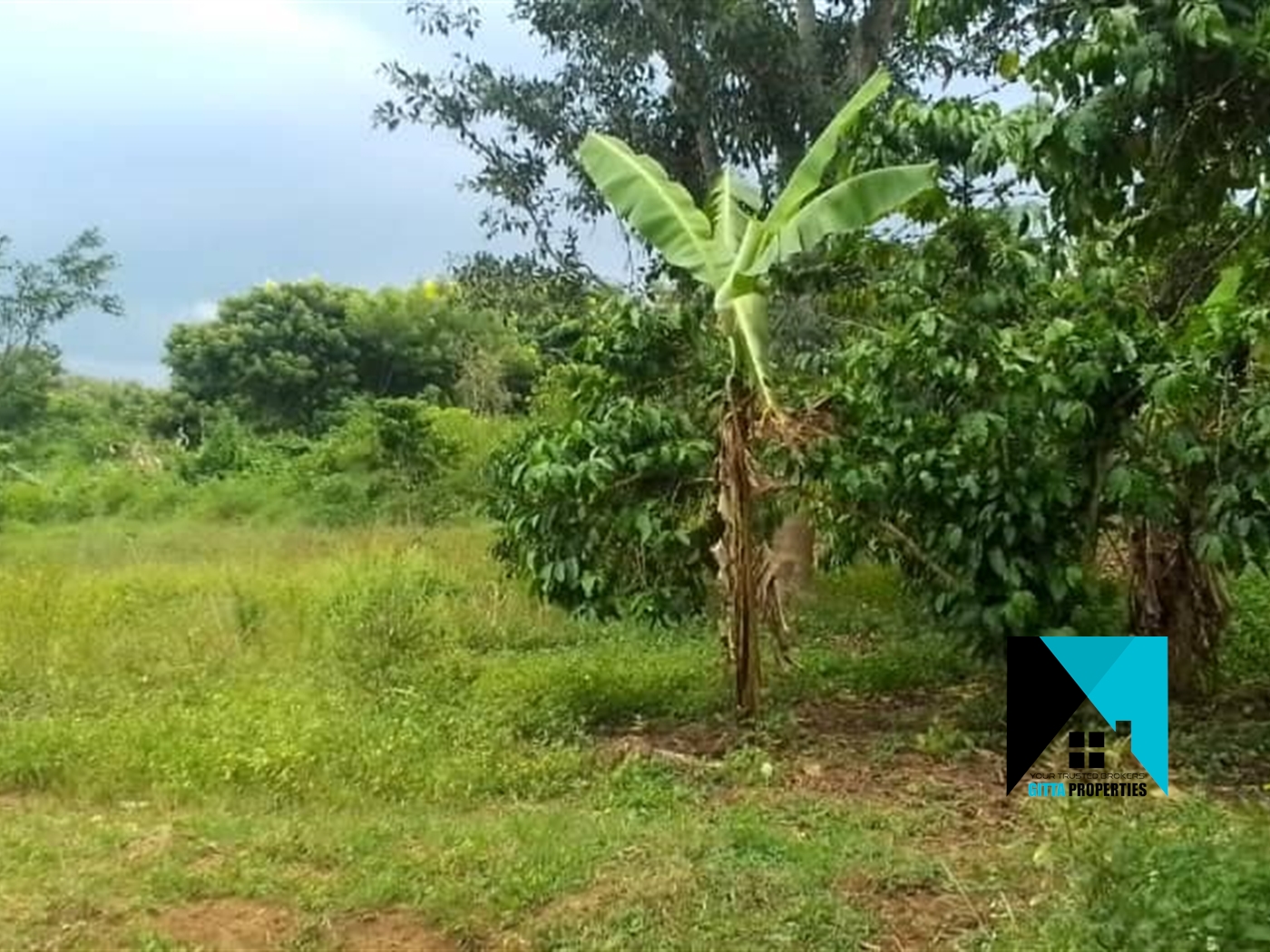 Residential Land for sale in Kikyuusa Luweero