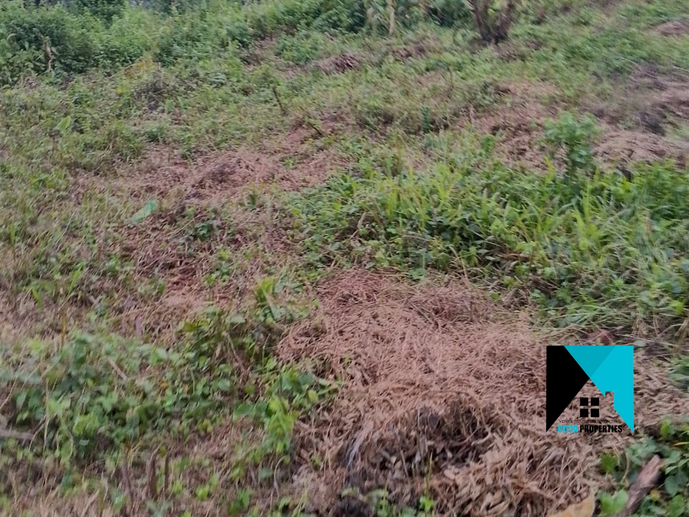 Residential Land for sale in Busukuma Wakiso