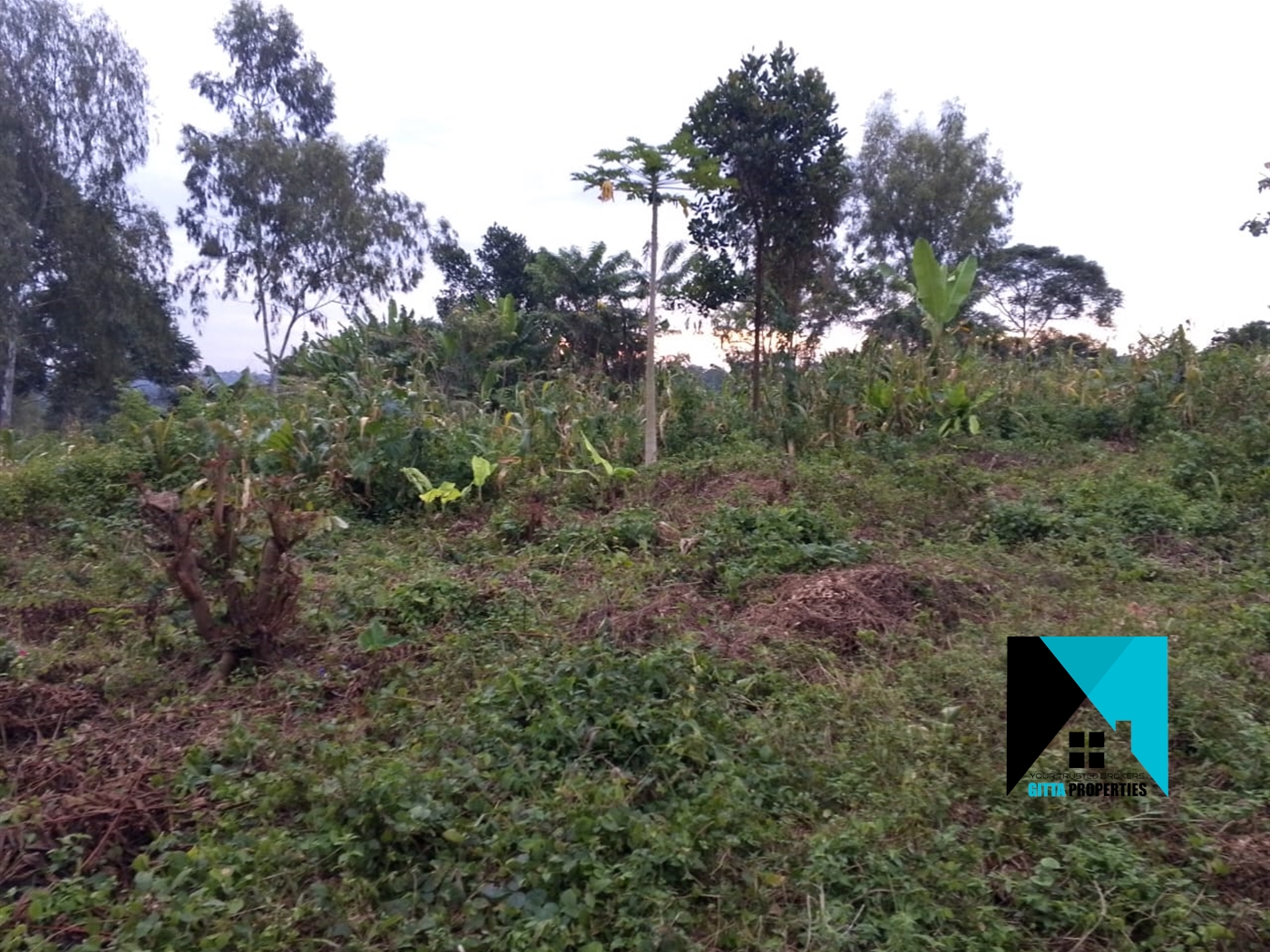 Residential Land for sale in Busukuma Wakiso