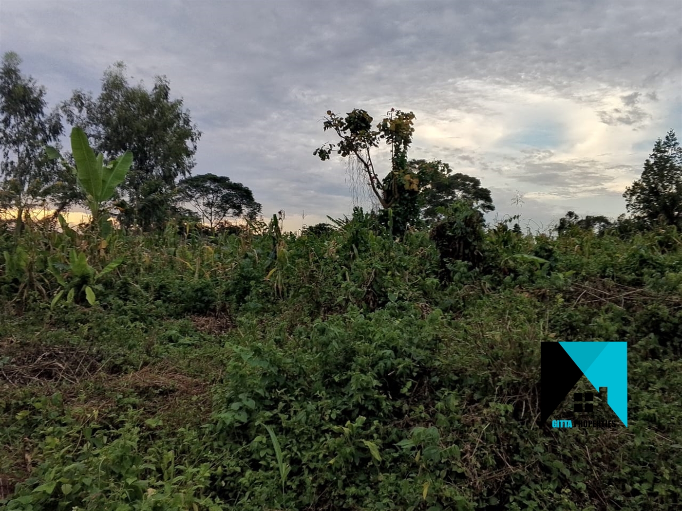 Residential Land for sale in Busukuma Wakiso