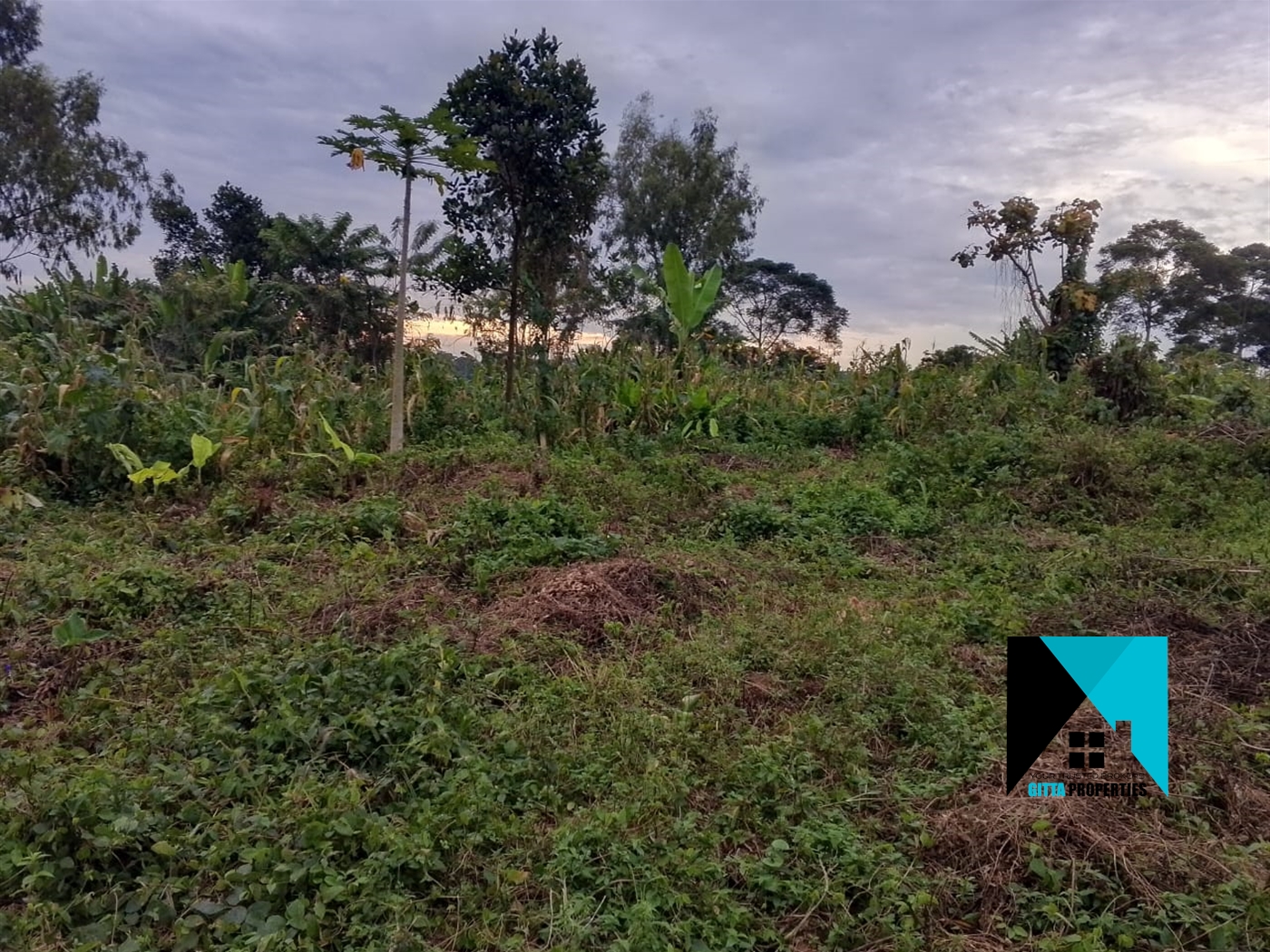 Residential Land for sale in Busukuma Wakiso