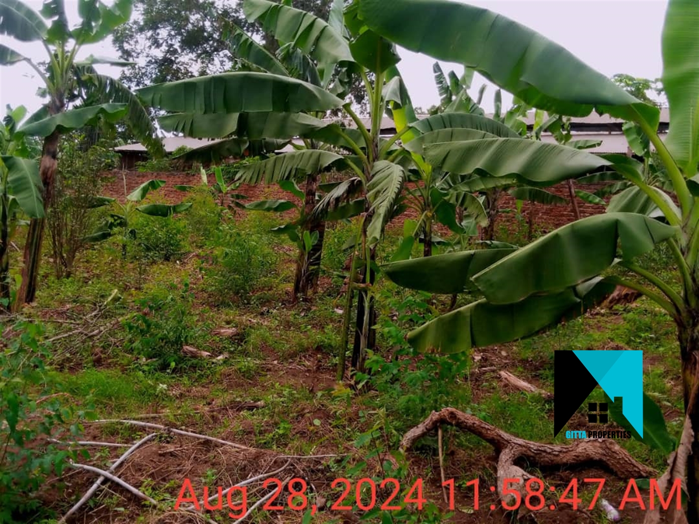 Residential Land for sale in Kiwango Mukono