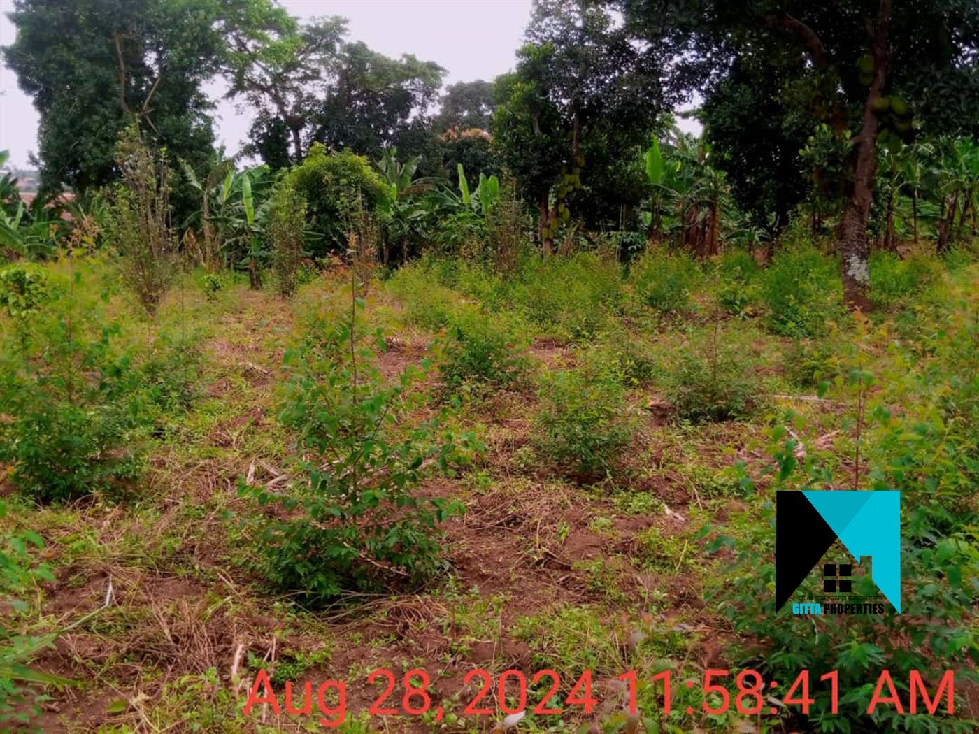 Residential Land for sale in Kiwango Mukono