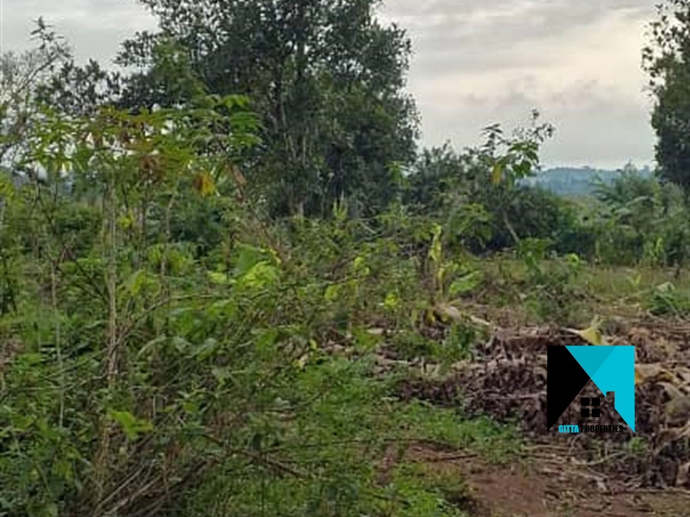 Residential Land for sale in Lukojjo Mukono