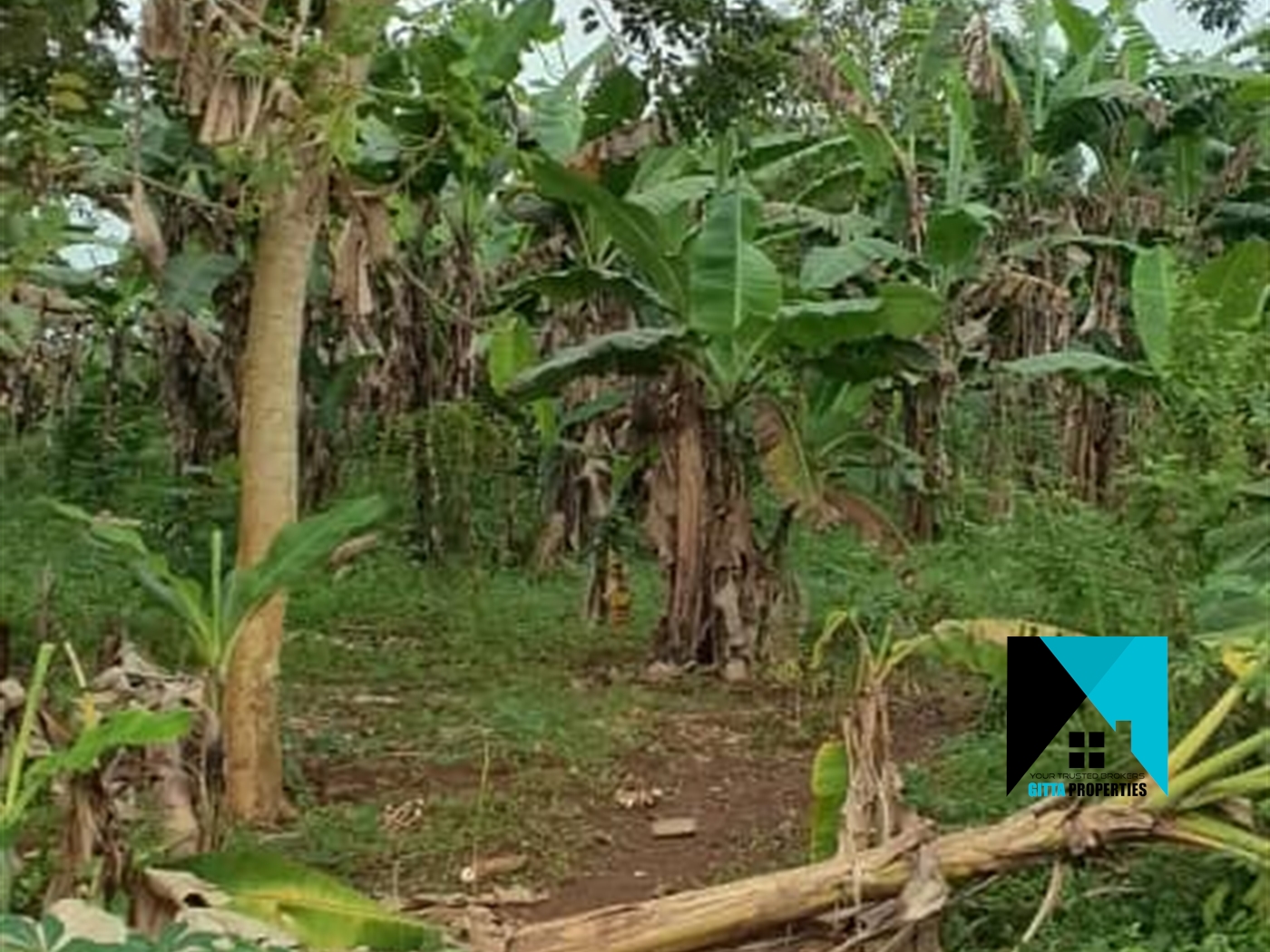 Residential Land for sale in Lukojjo Mukono