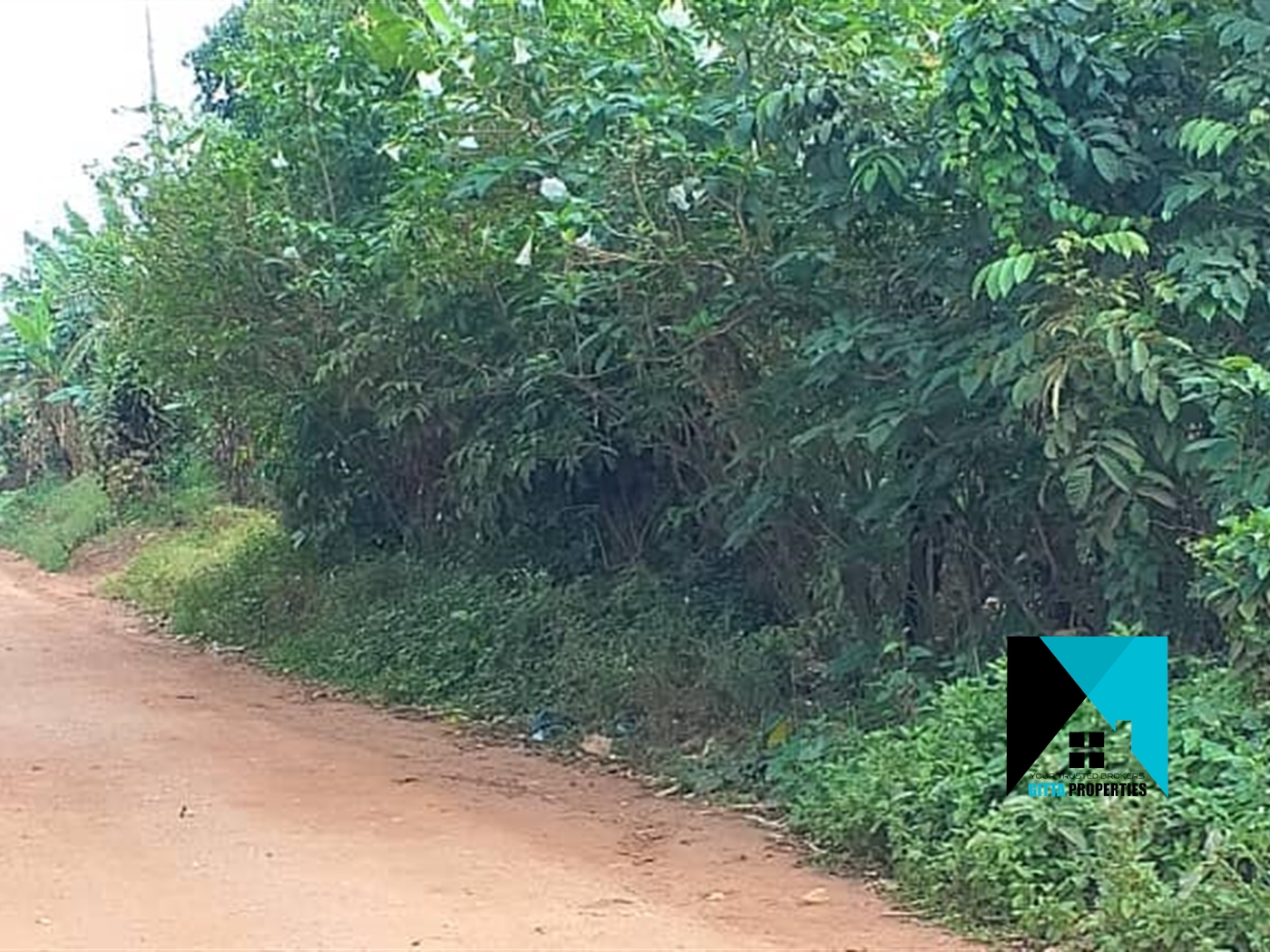 Residential Land for sale in Lukojjo Mukono