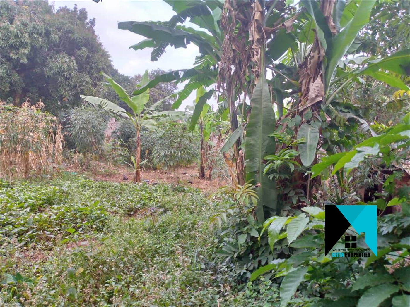 Residential Land for sale in Seguku Wakiso