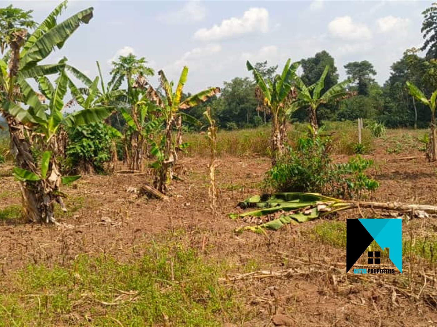 Residential Land for sale in Gombe Wakiso