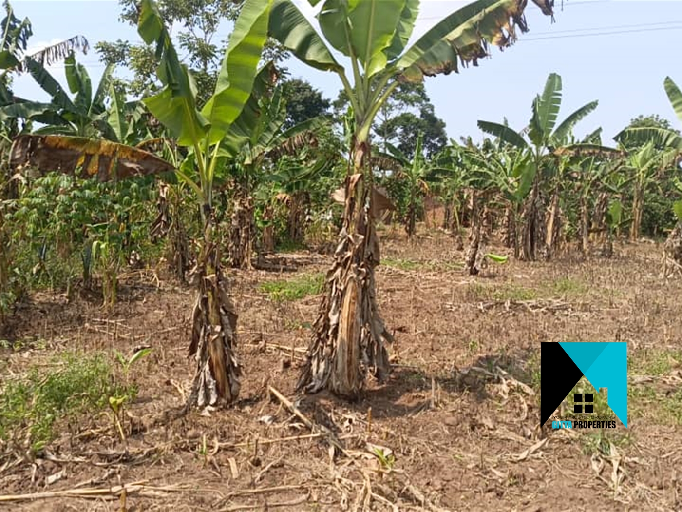 Residential Land for sale in Gombe Wakiso