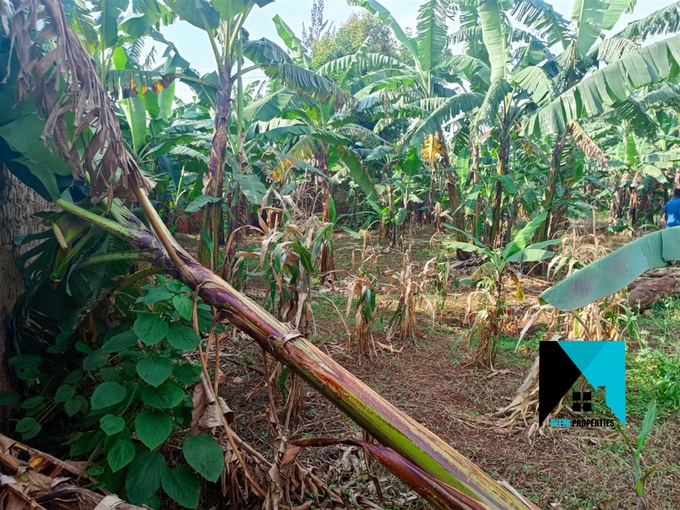 Residential Land for sale in Kungu Wakiso