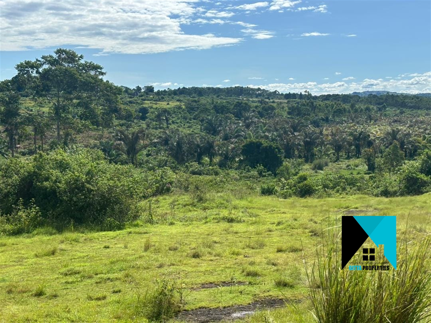 Agricultural Land for sale in Bujuuko Mityana