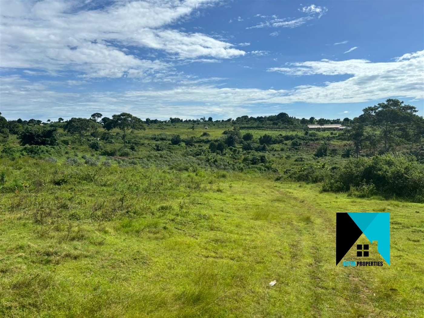 Agricultural Land for sale in Bujuuko Mityana