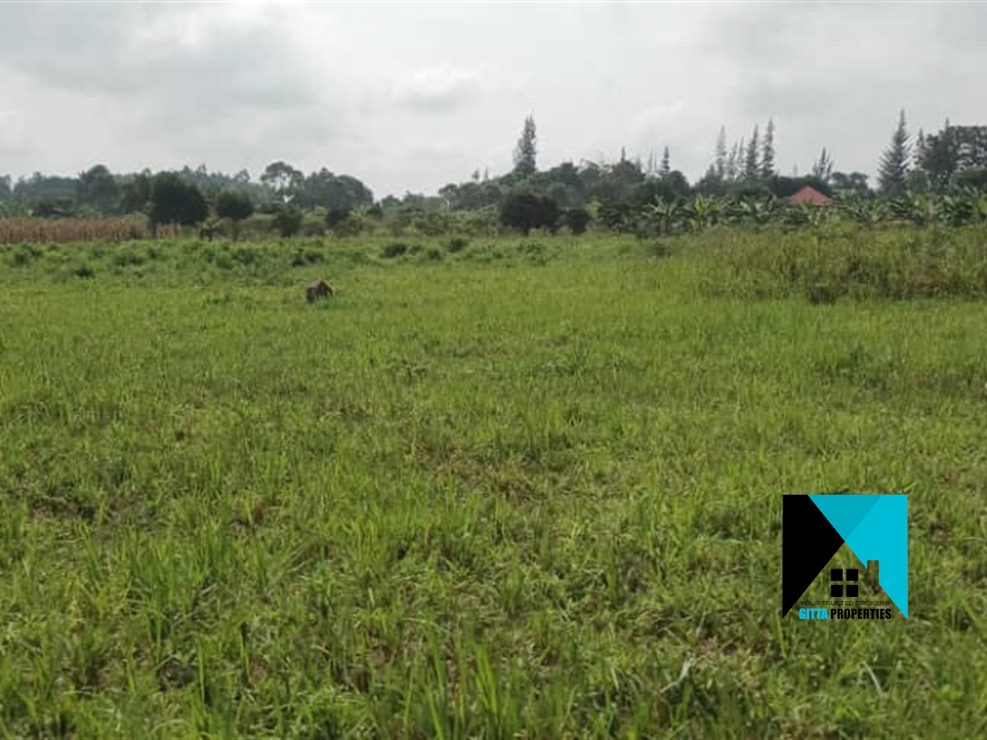 Residential Land for sale in Busiika Wakiso