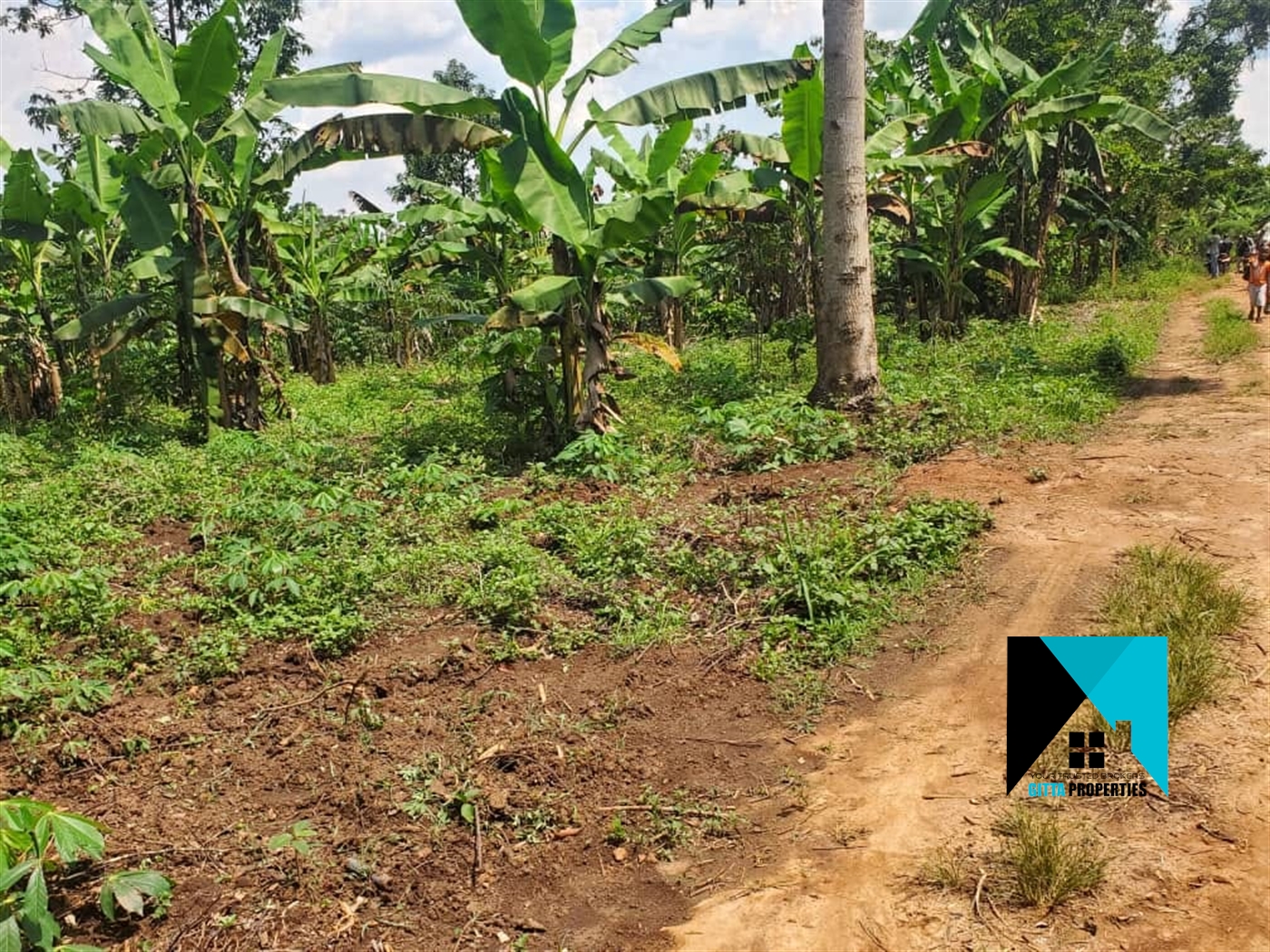 Agricultural Land for sale in Kirolo Nakaseke