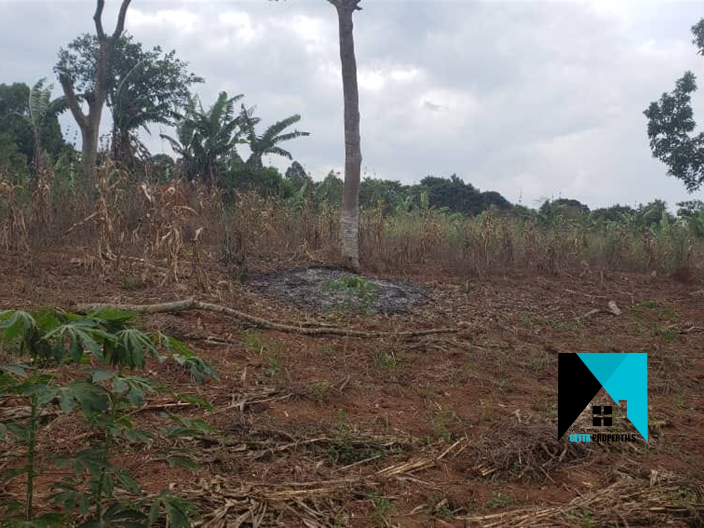 Agricultural Land for sale in KunguLuatale Wakiso