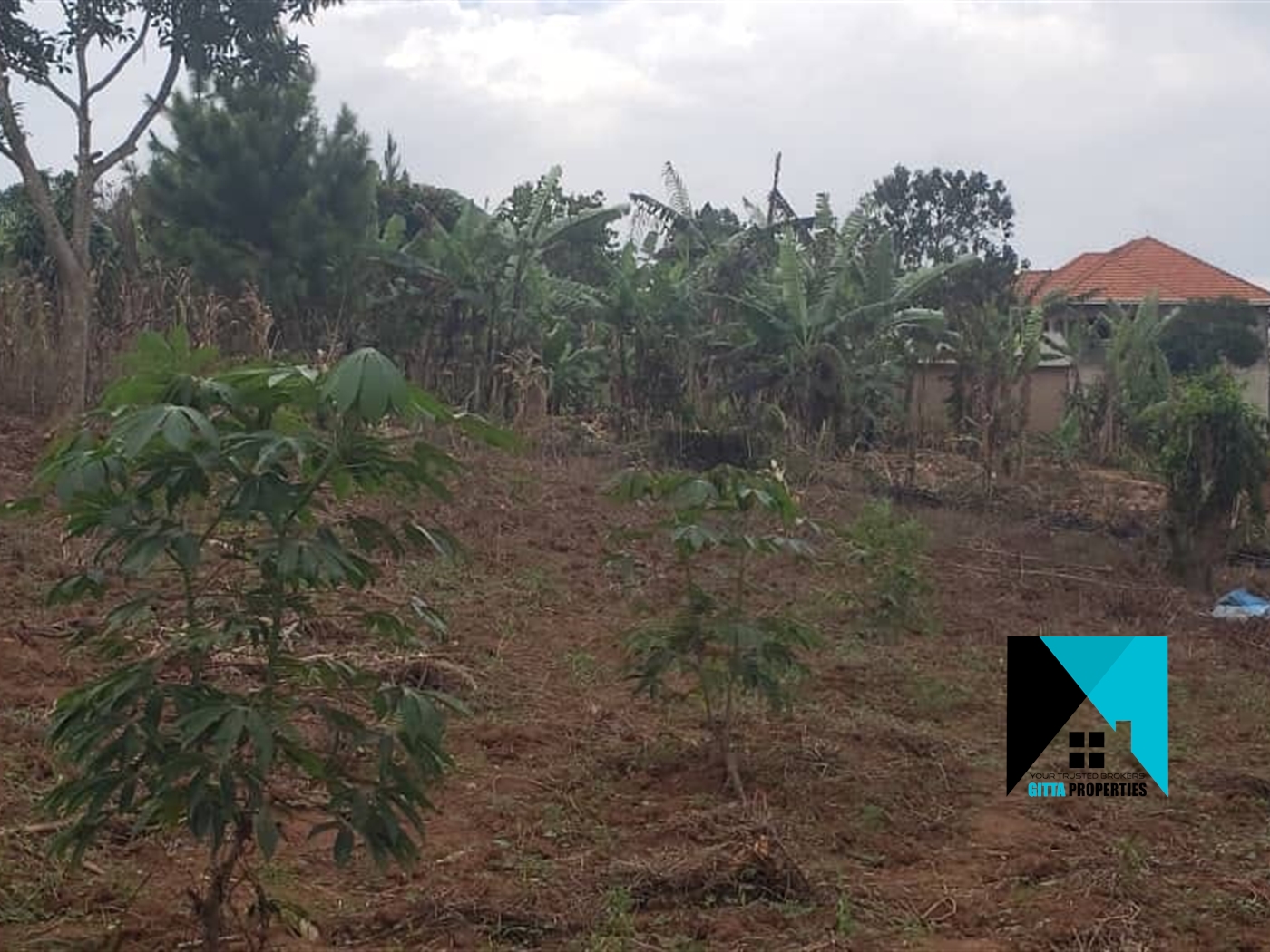 Agricultural Land for sale in KunguLuatale Wakiso