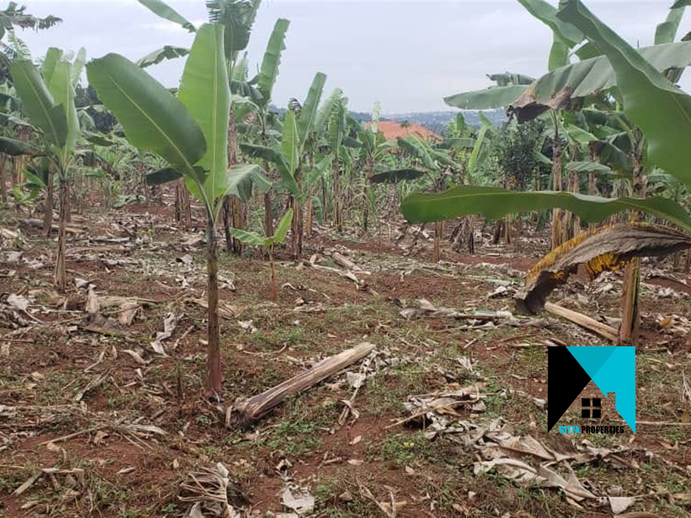 Agricultural Land for sale in KunguLuatale Wakiso